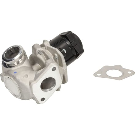 Borg Warner EGR-klep WAHLER 710929D