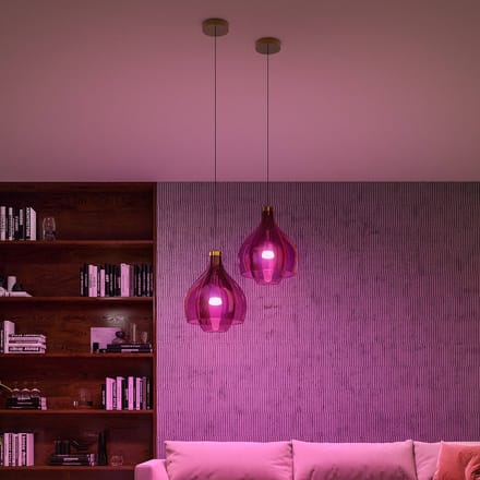 Philips Hue Starter Kit - wit and Color Ambiance - Hue Bridge Pro + E27 - 2 Pack - Zwart