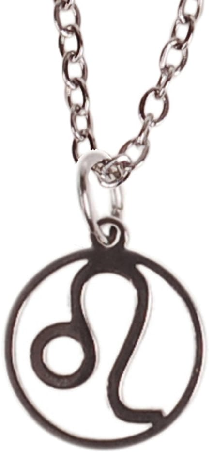 Ketting Zilverkleurig 55cm - Hangertje Sterrenbeeld RVS - Leeuw