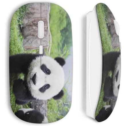 Souris sans fil - MANIACASE - Panda - Couleur verte - Clé USB wifi incluse - Compatible Mac et PC
