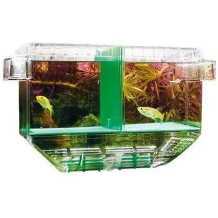 Hobby kweekbak Nido 1 - 19,5 x 11 x 19 cm