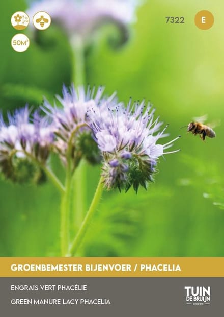 Tuin de Bruijn Phacelia Groenbemester – 40 g – Voor 50 m²