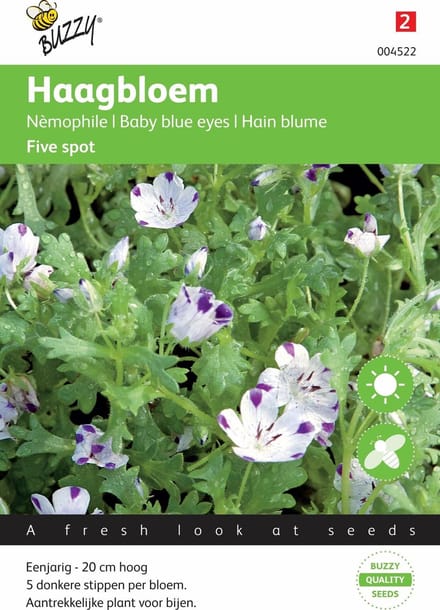 Buzzy® Nemophila Spotty Five spot Bosliefje