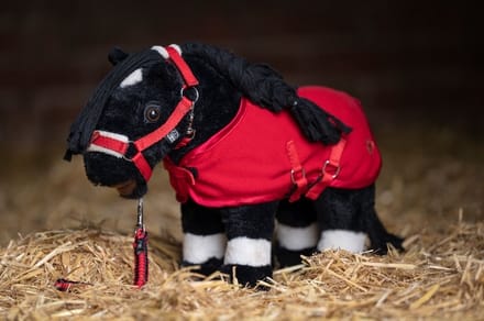 HKM Starterset Cuddle Pony - maat One size - red