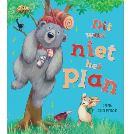 Dit Was Niet Het Plan - Jane Chapman