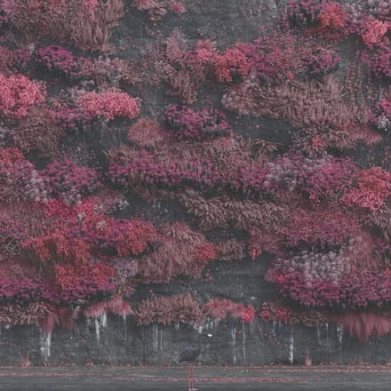 Sleep Token LP - Even In Arcadia - voor Geen - standaard