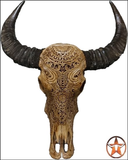 Skull echt -