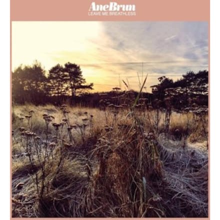 Leave Me Breathless - Ane Brun