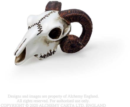 Alchemy - Rams Skull Beeld/figuur - Creme