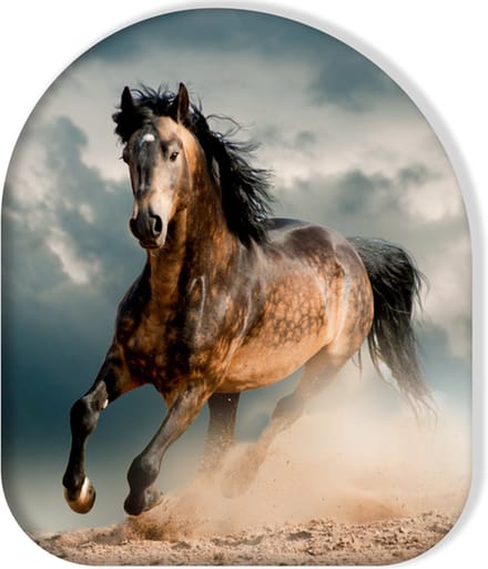 Paard sierkussen 40cmx40cm Duurzaam Polyester