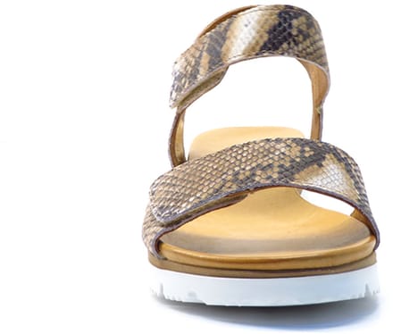 Aqa Shoes Bruin print open A8900 SNACOG Bruin