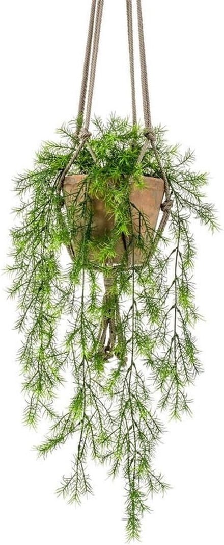 Kunsthangplant - Krulvaren - 75 cm - Oude Terracotta Pot - Hangpot