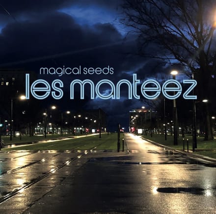 Les Manteez - Magical Seeds (LP)