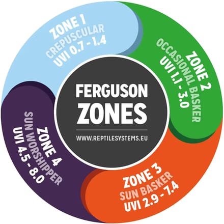 As Reptile T5 Ferguson UVB 14% Zone 4 24W - 550 MM 24W - 550 MM