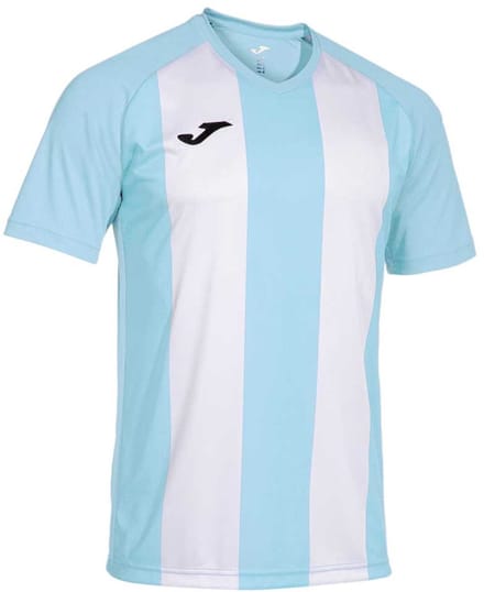 Joma Inter Iv T-shirt Met Korte Mouwen Blauw S Man