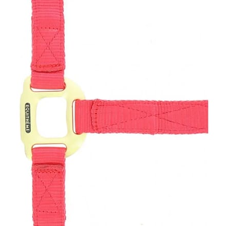 Halster voor paarden Equithème Nylon