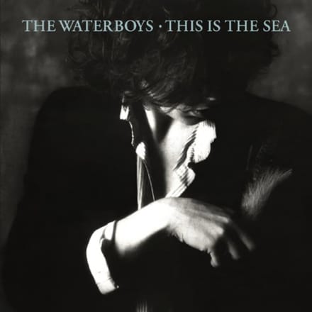 This Is The Sea (Collectors Edition)
