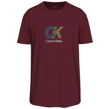 T-shirt Korte Mouw Calvin Klein Jeans LV04RD821G