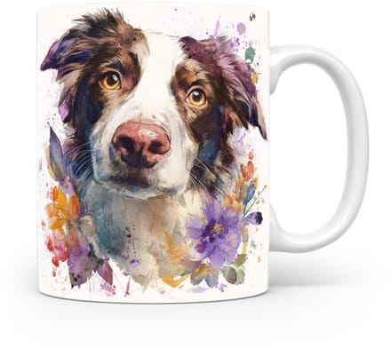 Beker Border Collie