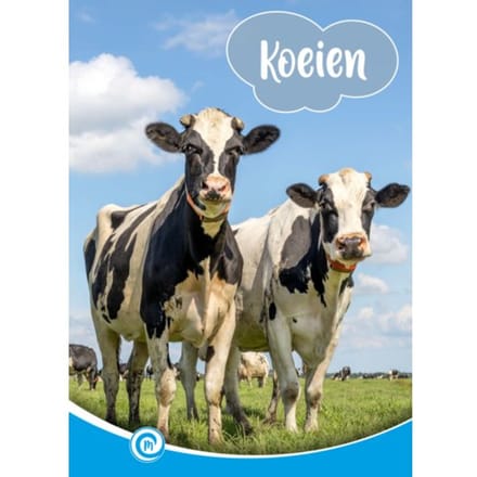 Koeien - Mini Informatie - Marianne Meulepas