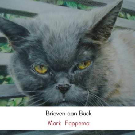 Brieven Aan Buck - Mark Foppema