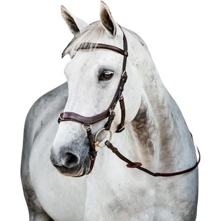 Horseware Hoofdstel Horseware Micklem Multi Bridle 2.0 Bruin