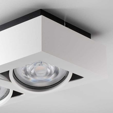 Castor bianco II by LUSENZ - Rechthoekige 2-lichts plafondlamp met richtbare spots en mat witte coating