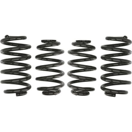 Veren EIBACH Pro Kit E10-15-003-02-22