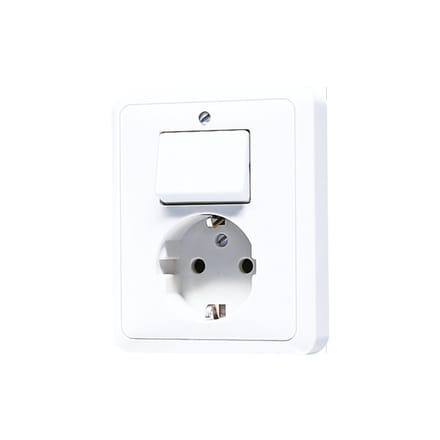 JUNG CD500 Gecombineerde Schakelaar Stopcontact Met Aardcontact - 5576EUWW