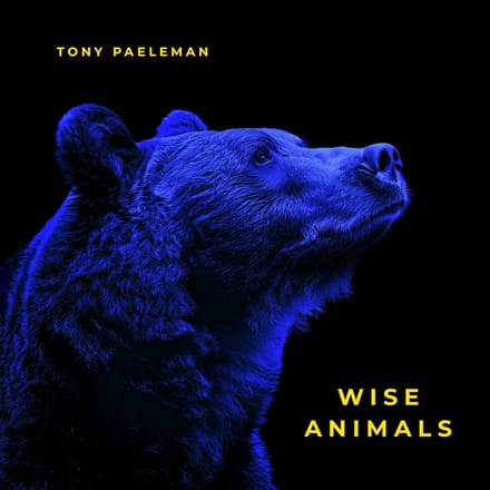 Tony Paeleman - Wise Animals (LP)