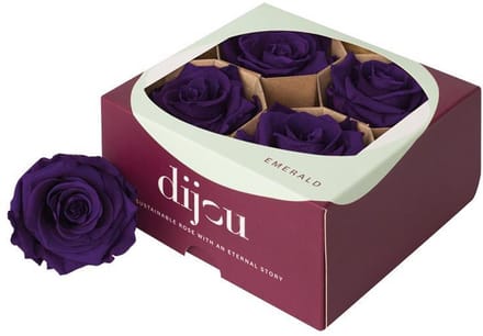 4x Rose preserved dc purple 2623c