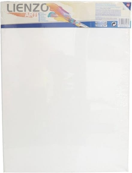 Gerimport Schilderdoek - 40 x 30 cm - blanco canvas - rechthoekig - houten frame - schilderijen maken