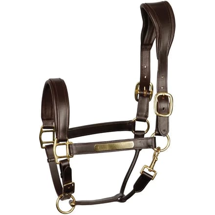 Harry's Horse Halster anatomic Brown - Cob | goud | Halstertouw paard