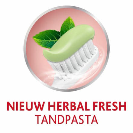 Parodontax - Tandpasta - Herbal Fresh - Bergamot & Mint - 75ml x 6