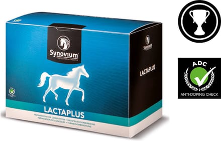 Synovium Lactaplus Paard  6x40 g
