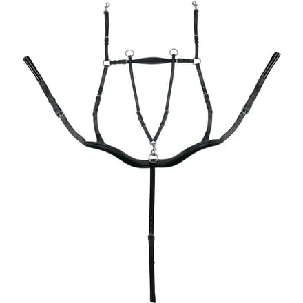 Vijfpunts halsband voor paard York Eddy