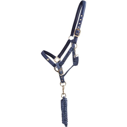 Halster en touwset voor paarden QHP Lily