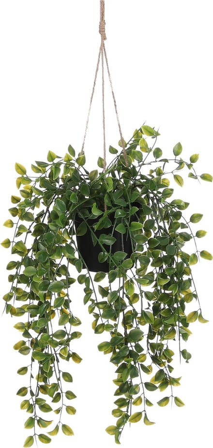 Mica Decorations Ficus Kunst Hangplant in Pot - H46 x Ø20 cm - Groen