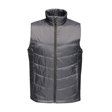 Regatta Heren Stadium Geïsoleerde Bodywarmer (Afdichting Grijs)