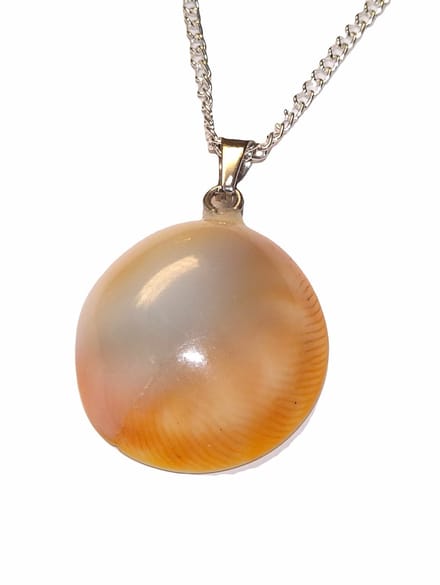 Natuurlijke Operculum Schelp Hanger
