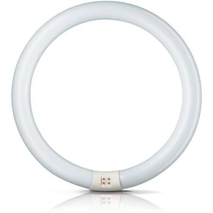 Philips Fluorescent light bulb Meester tl-e cirkel super 80 40w/830 G10q