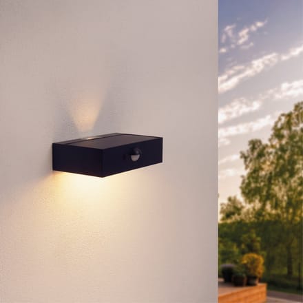 Ledvion - Solar LED Wandlamp - 3W - 3000K - IP65 - Zwart - 220L