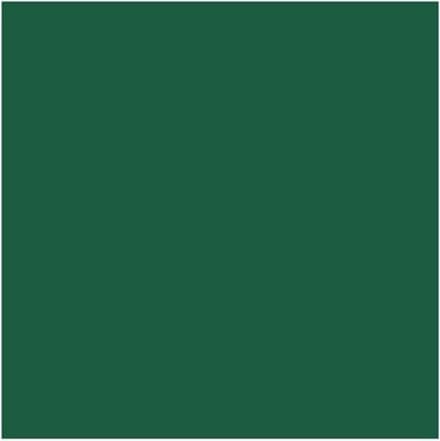 Duni servetten Oriental Green 3-laags 33x33