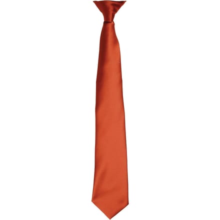 Premier Kleuren Heren Satin Clip Tie (Kastanje)