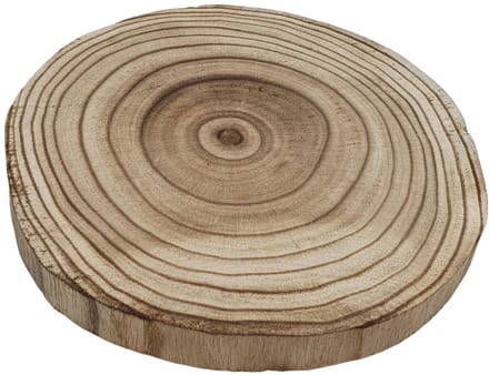 Playwood decoratie boomschijf hout gebrand - Paulownia Ø 20cm natuurlijk.