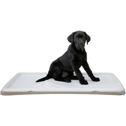 Puppy toilet Kerbl
