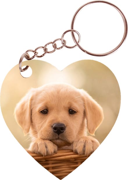 Sleutelhanger hartje 5x5cm - Golden Retreiver Pup Mand
