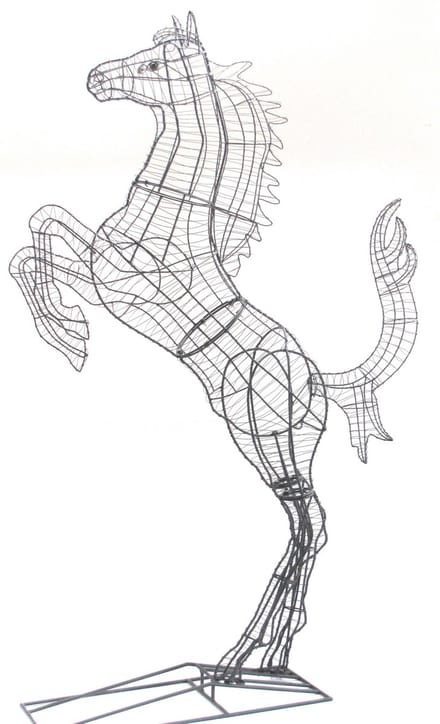 Paard Steigerend - Frame