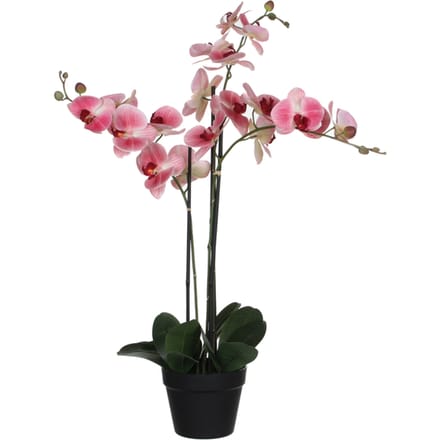 Kunstplant Mica Phalaenopsis orchideeën roze in plastic pot 79x51cm