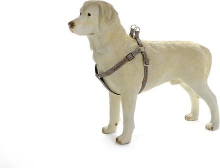 Beeztees Envy borsttuig hond Phantom - Bruin 60-100 cm